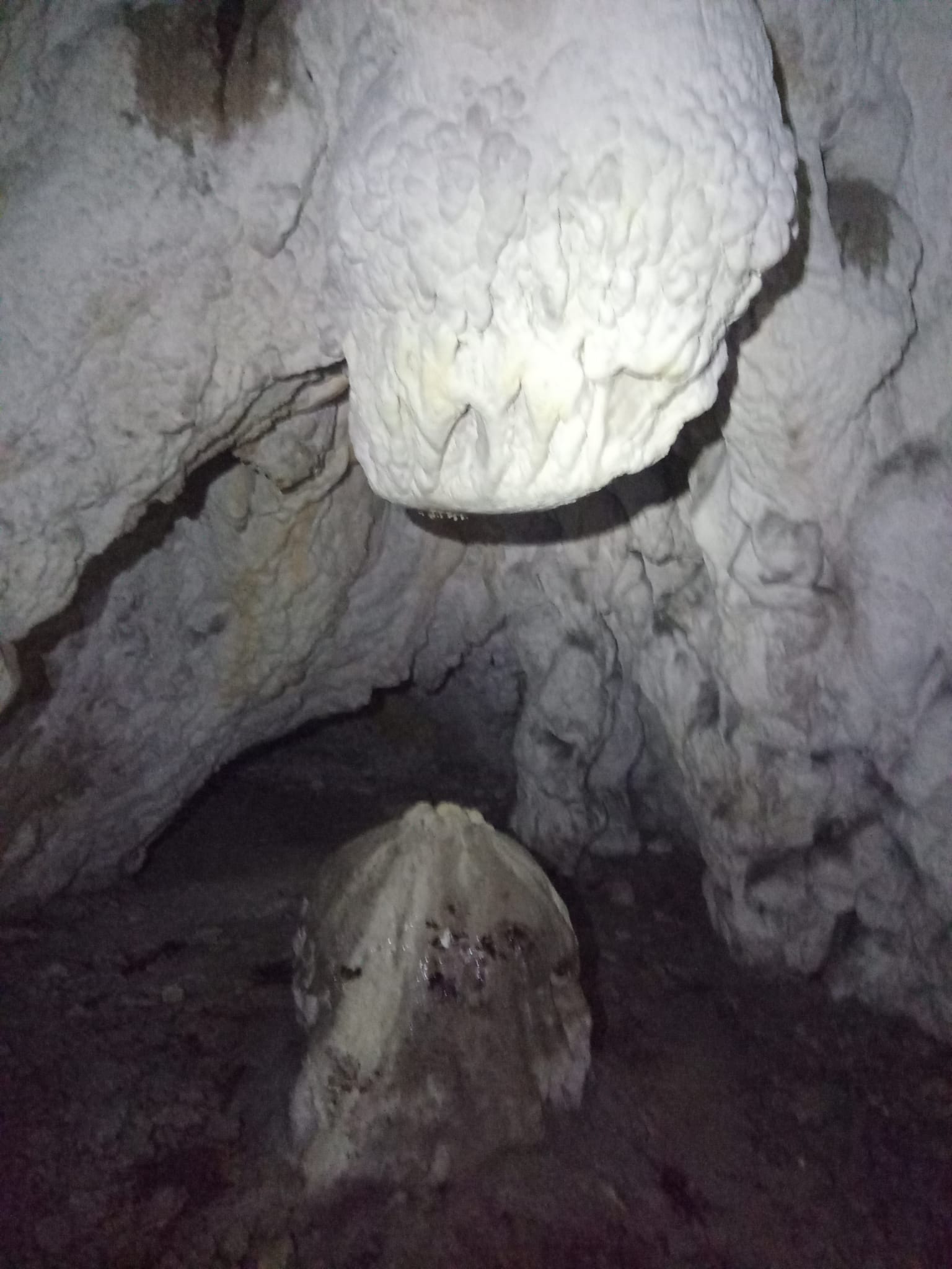 Peștera Bârlogeasa - Intrarea I si II - Foto adaugat de Dezideriu Szabo